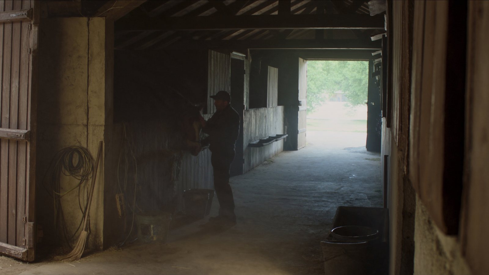 A person working in a stable aisle, with daylight at the far door.